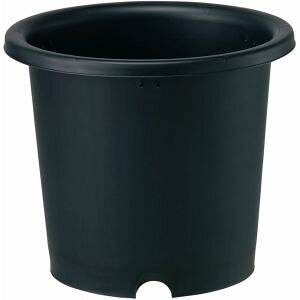 yavX`bNzavX`bN e 8 ubN