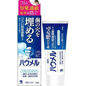 【小林製薬】小林製薬 ハウメル 薬用ハミガキ 100g