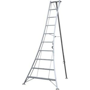 yACR ALINCOzACR KWX300 A~|pOrKWX V2.9 [J[ @l s kCꗣs