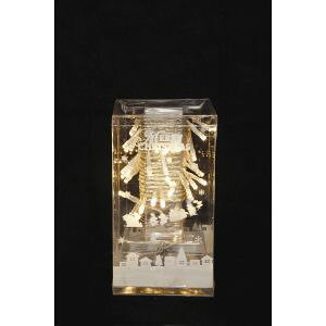 �y�������[�\�N�zLED���C�g �R���g���[���[�t 48�� �N���A 015505-DL00157