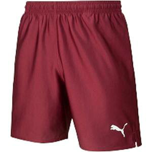 yv[} PUMAzv[} LIGA Q[pc RA WjA 140 R[ho zCg 729970