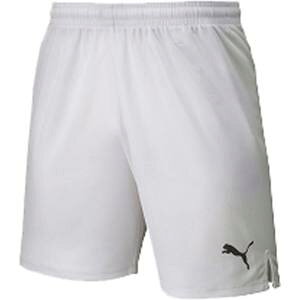 yv[} PUMAzv[} LIGA Q[pc RA WjA 140 zCg 729972