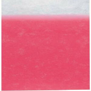 y TKGzTKG sDzV[g{JVsN 10 900 RHL6501 