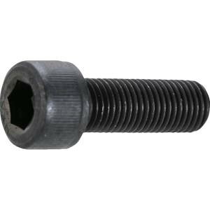 �y�g���X�R���R TRUSCO�z�g���X�R B1501225P1.25 �Z�p���t�{���g �ז� �X�`�[�� SCM435 ������ M12×25 P1.25 10�{�� TRUSCO