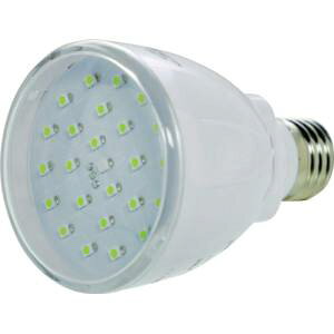 ygXRR TRUSCOzgXR TDRS26H [dX}[gLEDd TRUSCO