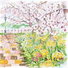 【Music Pandora】桜の舞う故郷
