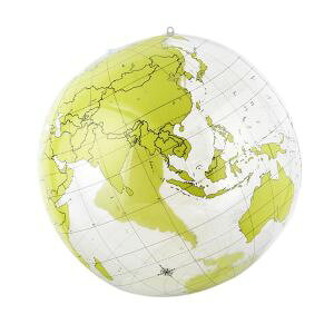 �y�P�j�X KENIS�z�P�j�X �r�b�O�z�[���n���V ���n�} 11410576