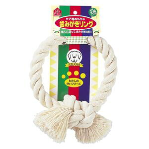 �y�y�e�B�I�z�y�e�B�I ���݂��������O L ��^���p