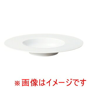 【ミヤザキ食器】M.STYLE エコス グルメプレート 29cm CV2912 ミヤザキ食器