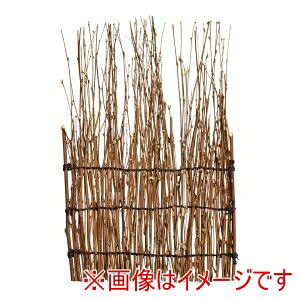 �y�������� TKG�zTKG �┋������ ������ 05163 150&#215;220 ��������