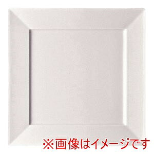 �y���[�[���^�[�� Rosenthal�z���[�[���^�[�� �G�|�b�N 10630-31421 �X�N�G�A�v���[�g27cm