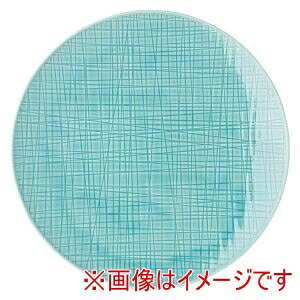 y[[^[ Rosen thalz[[^[ RT bV 405152-10867 Ehv[g27cmtbg