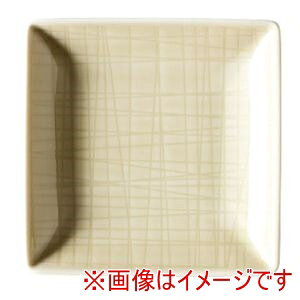 y[[^[ Rosen thalz[[^[ RT bV 405153-15288 XNGAv[g10cm