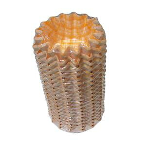 yAd~YƁzAd~Y Jbv RRP[X Ђ܂ 500  