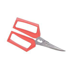 �y�x�c�n�� �m�� Nisaku�z�x�c�n�� �m�� No.880 �I�V�o�T�~ �I�����W