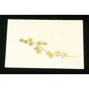 yA[ebNzA[ebN ڎO ΂܂ N[ 100 WSS-9 O[݂ 5`8