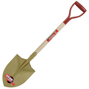 yE-ValuezE-Value EWS-1 ؕۃVx