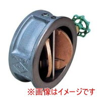 【東洋バルヴ】東洋バルヴ 10FNW FCウイングチェッキ弁 要部CAC 200A メーカー直送 代引不可 北海道沖縄…