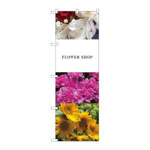 ŷڂ艮H[ẑڂ艮H[ ̂ڂ  t[^ KMN 81815