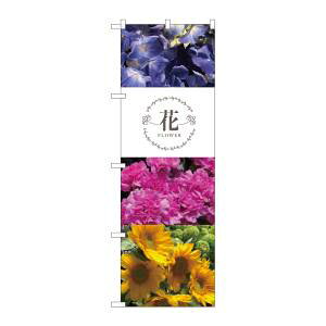 ŷڂ艮H[ẑڂ艮H[ ̂ڂ  t[^S KMN 81816