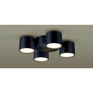 �y�p�i�\�j�b�N panasonic�z�p�i�\�j�b�N SPL5429 �V�����f���A �����v�ʔ�GX53