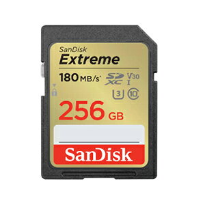 【サンディスク SanDisk 海外パッケージ】サンディスク SDXC 256GB SDSDXVV-256G-GNCIN UHS-I class10 SDカード