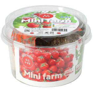 yA[ebNArTeczA[ebN ~jt@[ ňĂ~jg}g 102939