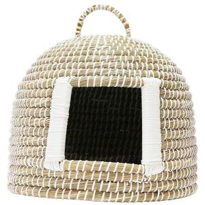 yhM[}nV DoggyManzhM[} ɂ񂱂̂  3168400