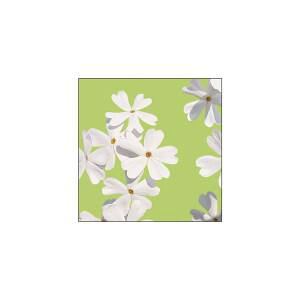 ŷڂ艮H[ẑڂ艮H[ LoX  S20 43165