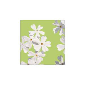 ŷڂ艮H[ẑڂ艮H[ LoX  S30 43166