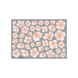 ŷڂ艮H[ẑڂ艮H[ EBhEV[   69830