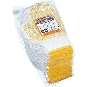 yӂ܁zӂ 262 Xx~ߎ 12o