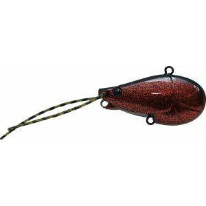 yWN\ JacksonzWN\ `kRoCu 8g EC Gr`