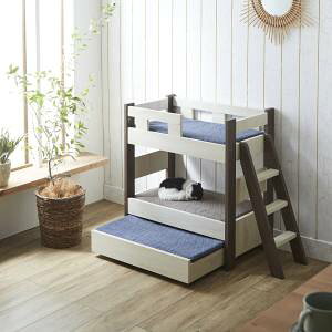 IIy㓡ƋYz㓡ƋY c[gJ[nVStxbheq3ixbh PB-MARRON-BR [J[ s kCꗣsysmtb-uz