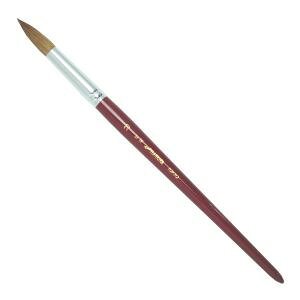 �y�����听���z�����听�� �i���� SW 20�� ��