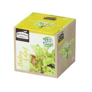 yA[ebN ArTeczA[ebN GR͔|Lbg Re Green xr[[t 102976