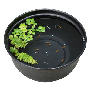 ジェックス GEX メダカ元気 メダカのための飼育鉢 黒 420 約外径42×高さ20cm 約16L