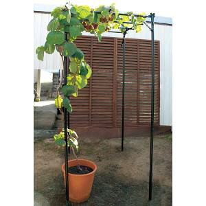 �y���r�j�[���z���r�j�[�� �������̒I�Z�b�g KT-S W90cmxD120cmxH210cm
