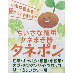 yXRz݂{ Ȏp ^l| ܂ XR