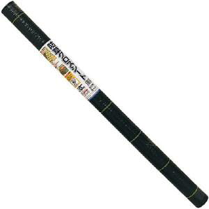 y{}^Cz{}^C hNXV[g  Ǌ 1x10m