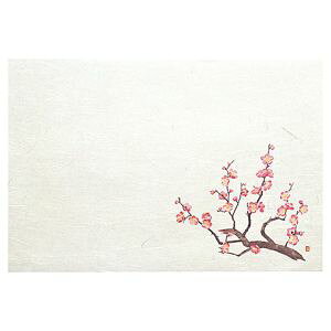 y}R[ p YAMACOz}R[ 3_a΂܂ lG ~ 50 64470 p