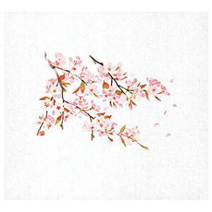 y}R[ p YAMACOz}R[ ԕۑN   100 64882 p