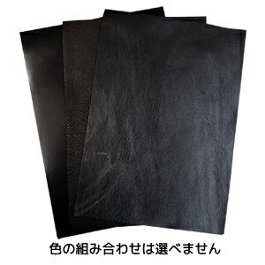 yA\[gzJbgU[ A4TCY n 3Zbg Fƕ͑Iׂ܂