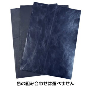 yA\[gzJbgU[ A4TCY n 3Zbg Fƕ͑Iׂ܂