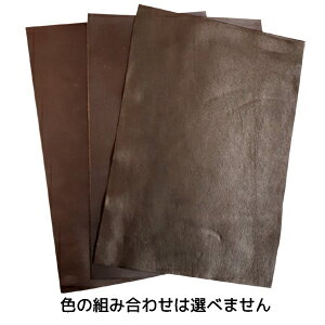 yA\[gzJbgU[ A4TCY n 3Zbg Fƕ͑Iׂ܂