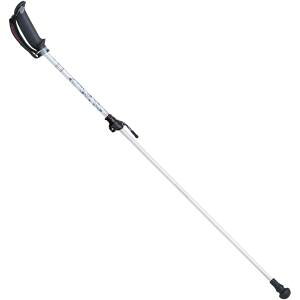 yLUL KIZAKIzLUL APAI7H204 EH[LO|[ zCg