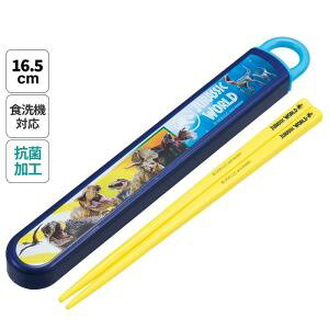yXP[^[ SKATERzXP[^[ WVbN[h24 R H@ Ή XCh 16.5cm  Zbg ABS2AMAG
