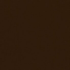 【清原 KIYOHARA】KIYOHARA パレットカラー帆布 11号 生地 無地 綿100% 約110cm×50cmカット BR ブラウン KOF02-50 BR 清原