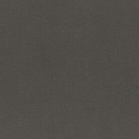 【清原 KIYOHARA】KIYOHARA パレットカラー帆布 11号 生地 無地 綿100% 約110cm×50cmカット GRY グレー KOF02-50 GRY 清原