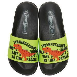 �y�X�P�[�^�[ SKATER�z�X�P�[�^�[ �f�B�m�T�E���X �L�b�Y�V�����[�T���_�� 19cm SDSH19
